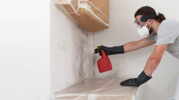 Professional Crawl Space Mold Removal technician working in White Stone, VA