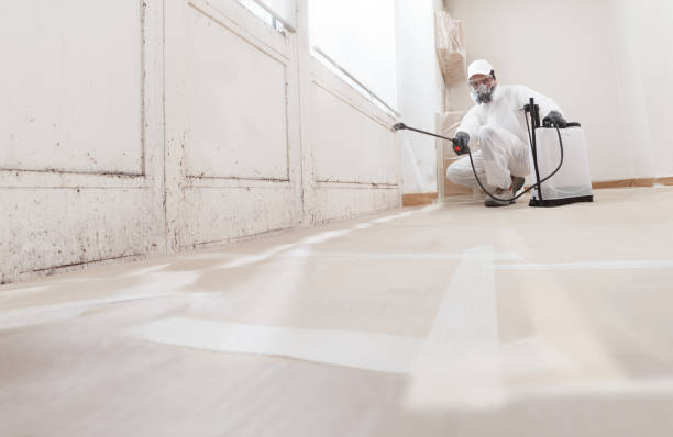 24/7 Emergency Crawl Space Mold Removal experts in White Stone, VA