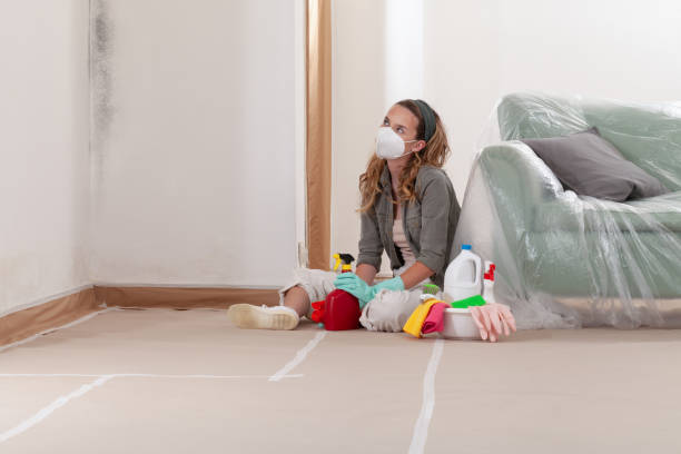 Reliable Crawl Space Mold Removal contractor in White Stone, VA by WQB Mold Removal