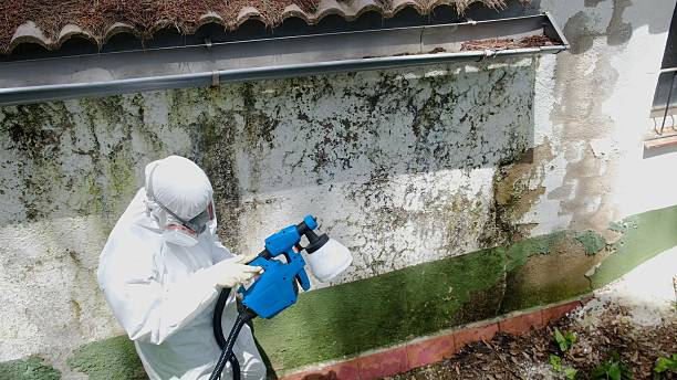 Top rated local Crawl Space Mold Removal specialists in White Stone, VA